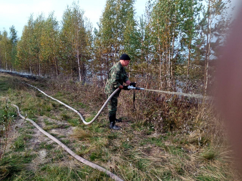    Пожар на торфянике в Карелии локализовалиГоскомитет Карелии по ОЖ и БН