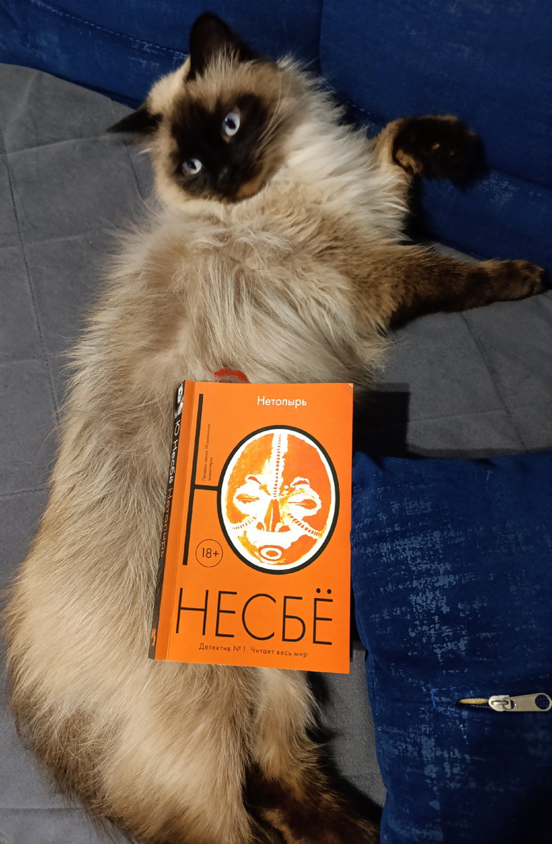 Первую книгу из серии о Харри Холе сегодня рекомендует Джессика. 