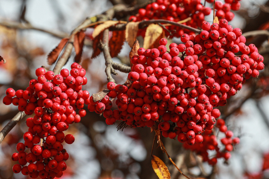    Сергей Булкин/NEWS.ru