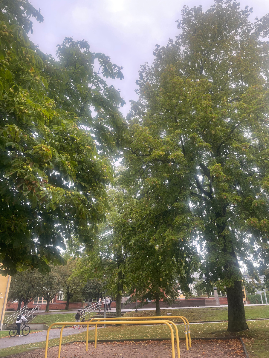 Фото из личного архива 