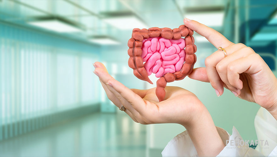 FOTOGRIN // shutterstock.com