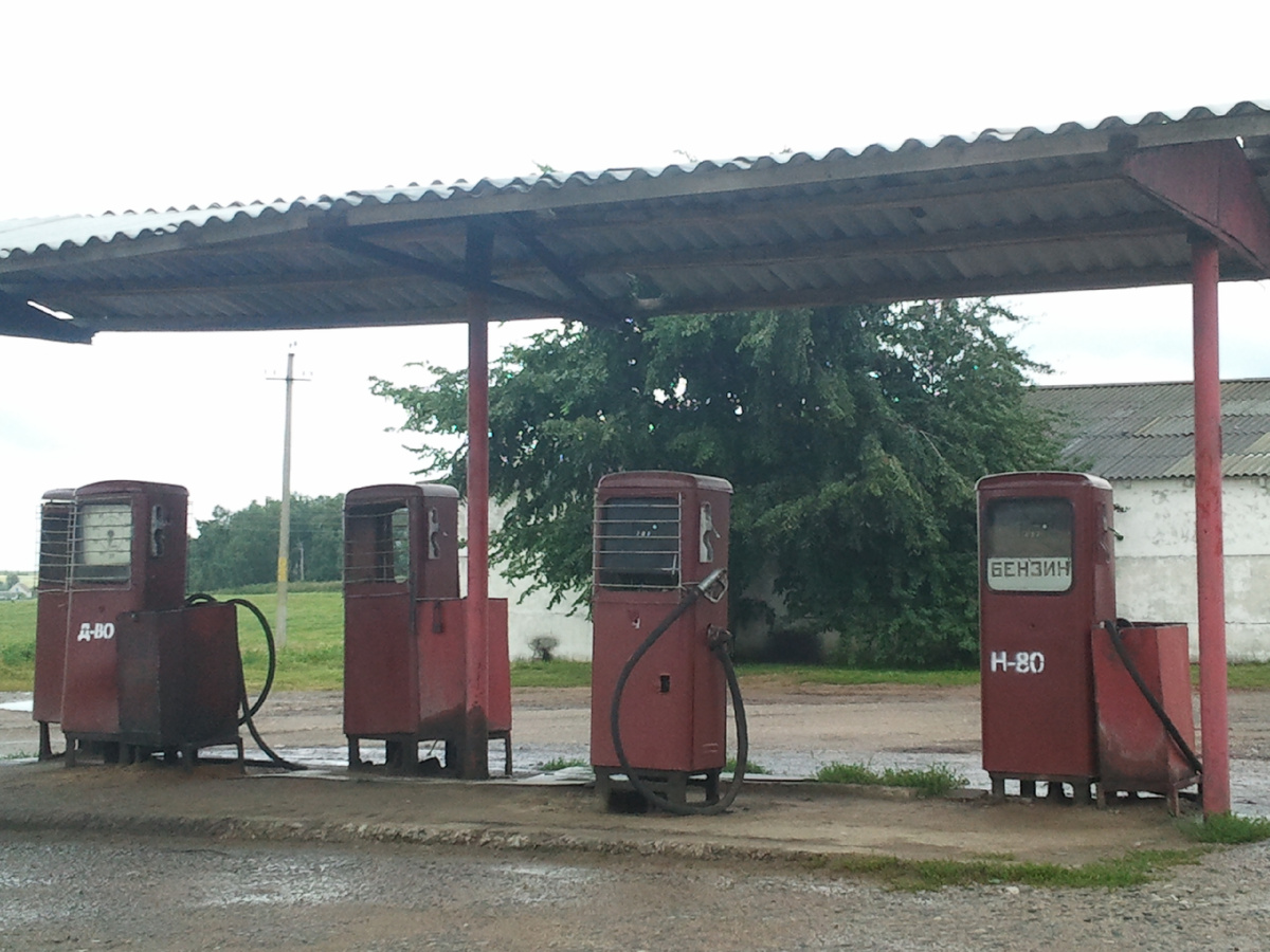 фото из интернета