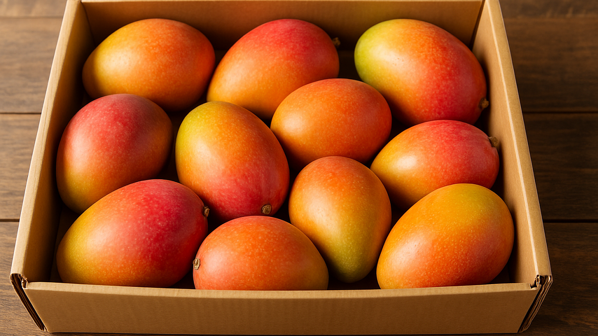    Изображение создано при помощи ИИ