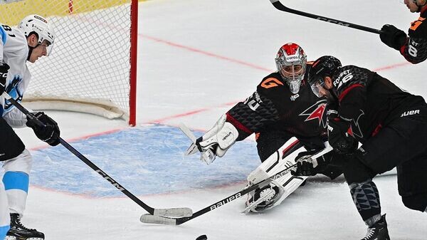    © Photo : ХК "Динамо-Минск"