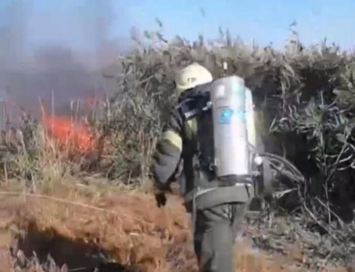 Иллюстрация: ГУ МЧС по РО