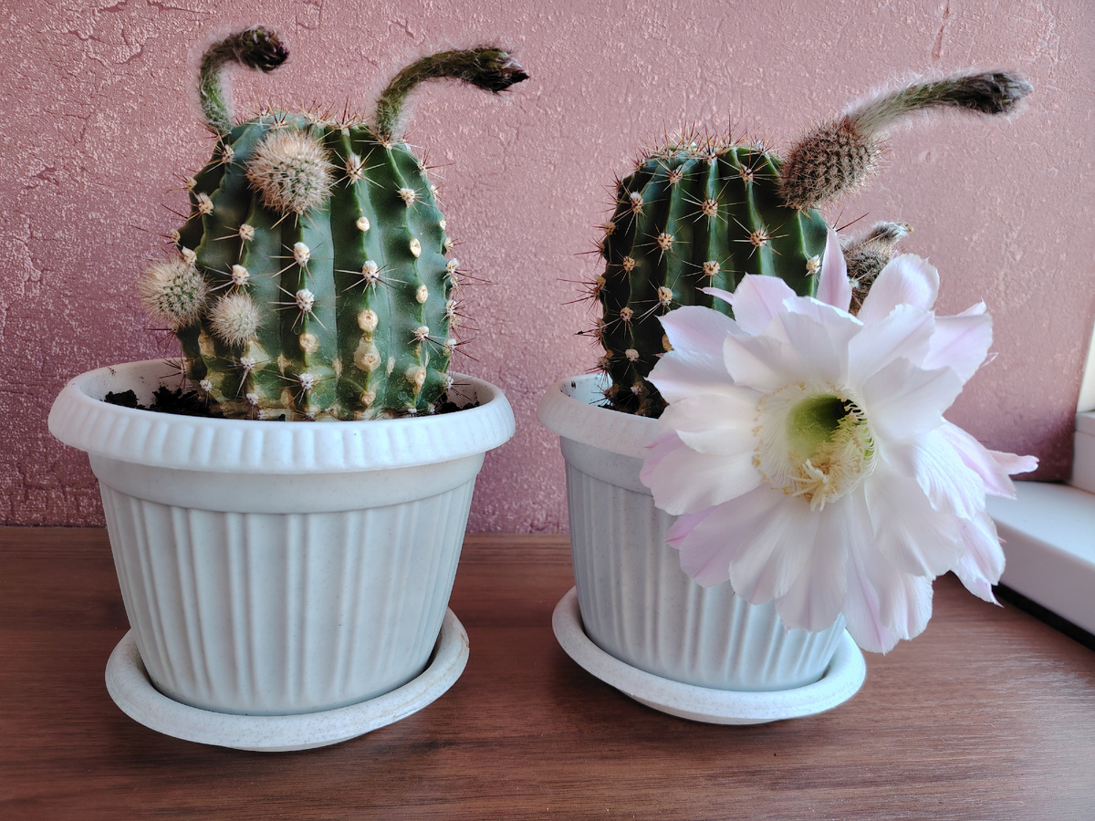 Фото автора канала 