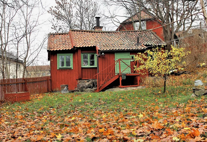 После листопада болезнетворные грибки и вредители уже спрятались на зимовку. 