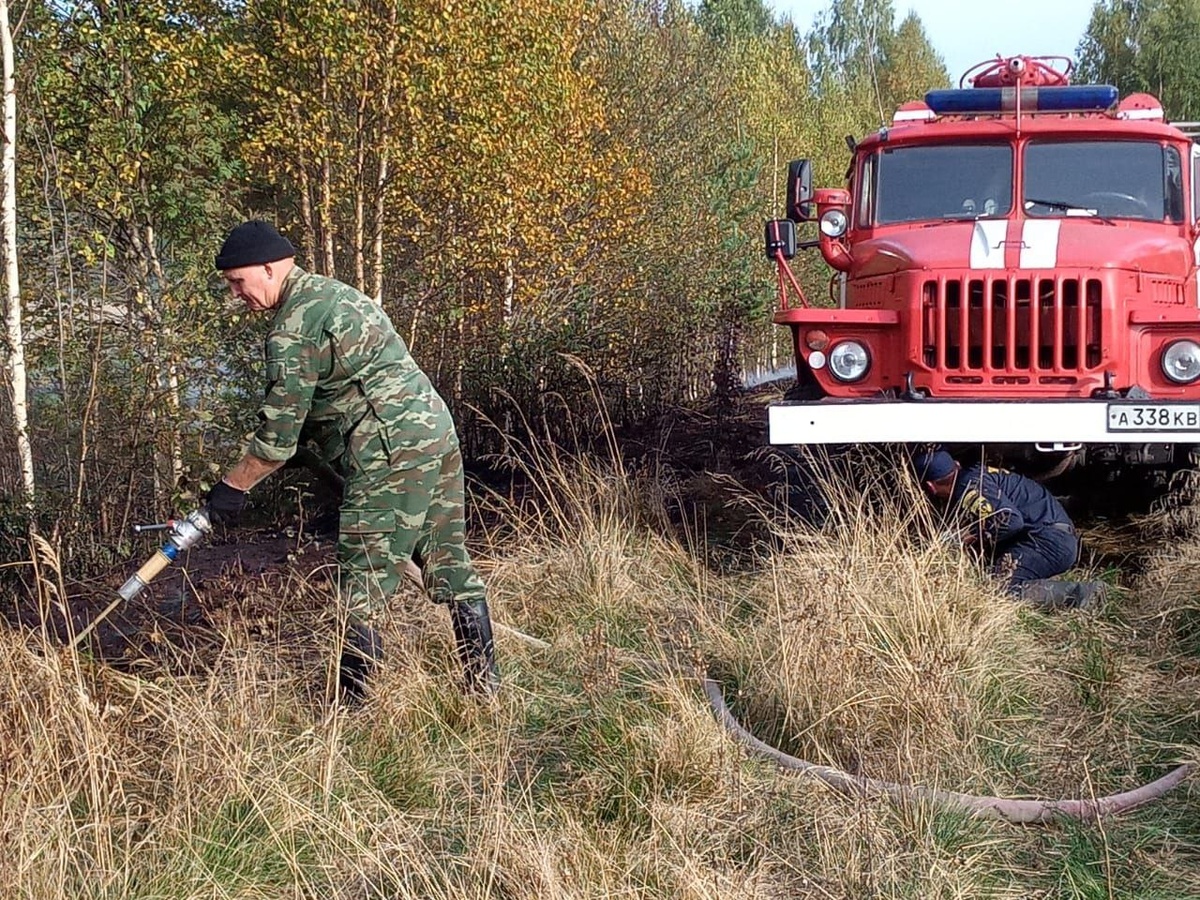    Пожар торфяника около деревни Киндасово локализован. Фото: Госкомитет Карелии по обеспечению жизнедеятельности и безопасности населения/"Телеграм"