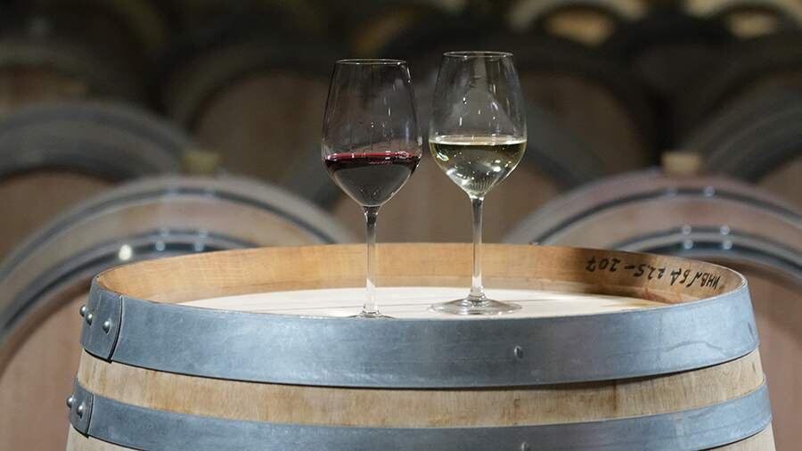 Нарколог указал на вред крепкого и слабого алкоголя