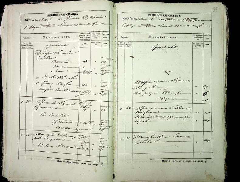 осточник викимедиа