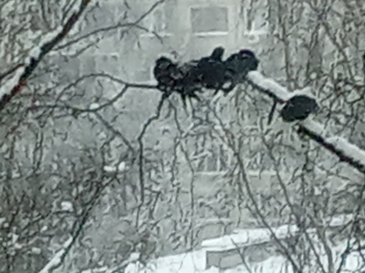 Январь 2025 г