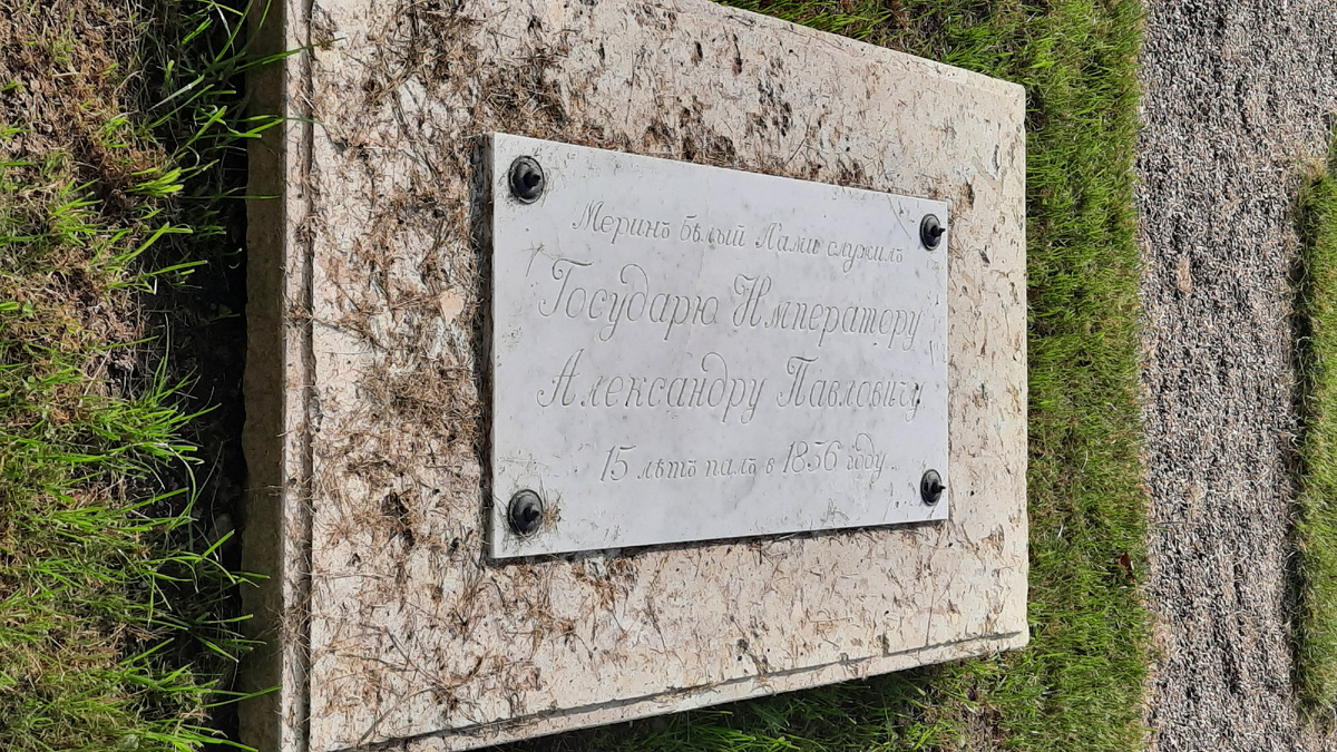 Листайте галерею вправо.