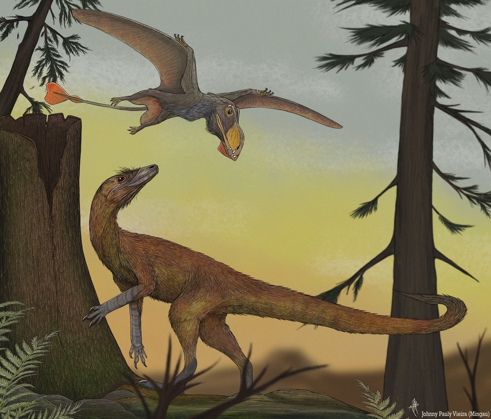 Внизу – Дромомерон (самый поздний из лагерпетид), сверху – Йелафомте (ранний эоптерозавр из семейства ретикодактилов).