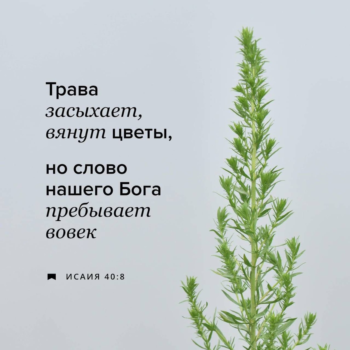 Исаии 40:8
