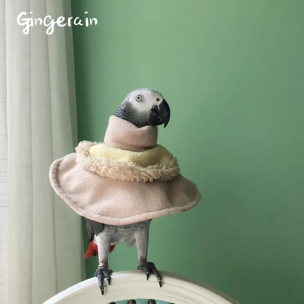 (фото взято из открытых источников для примера