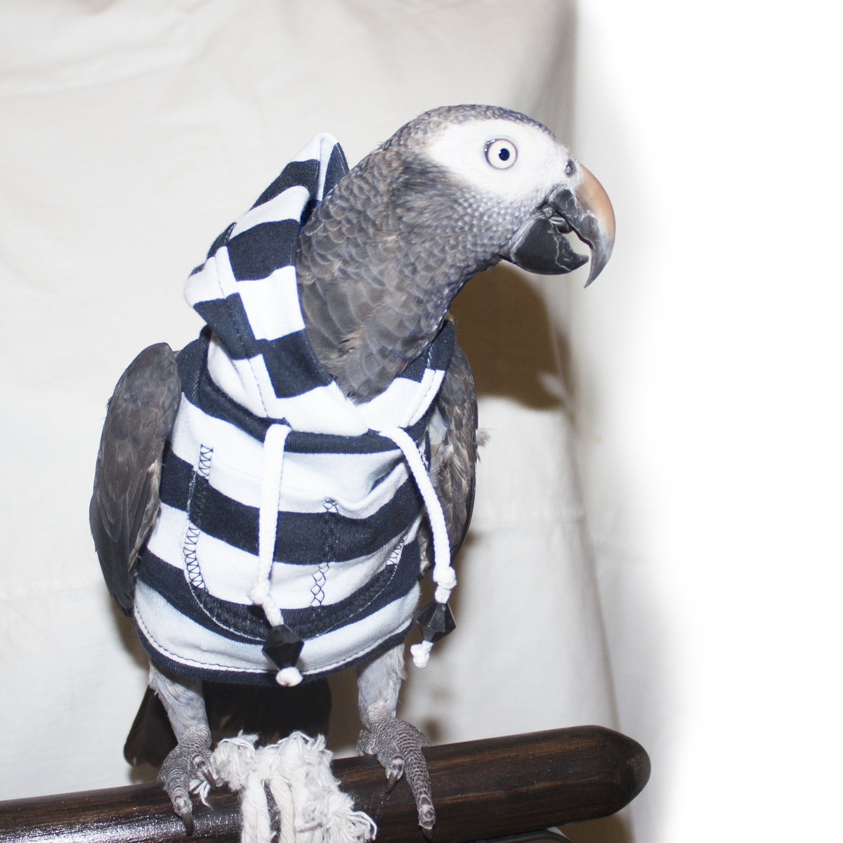 (фото взято из открытых источников для примера)