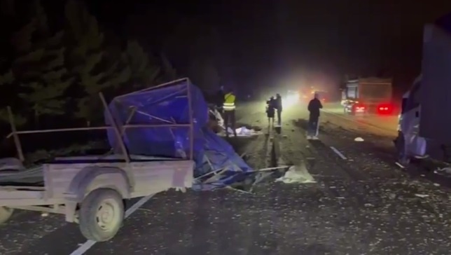    Фото: Госавтоинспекция Прикамья/ТГ Ульяна Бажанова