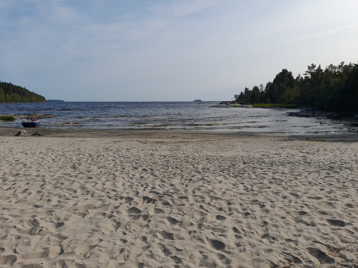 Ладожские пляжи раньше "радовали" водой температурой +7-10 градусов даже летом. Сейчас  вполне можно купаться. ФОТО АВТОРА