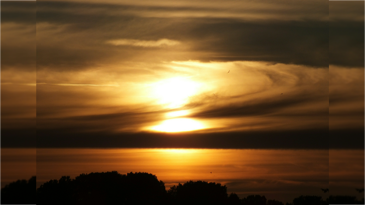 Фото: Victor Lisitsyn/globallookpress.com