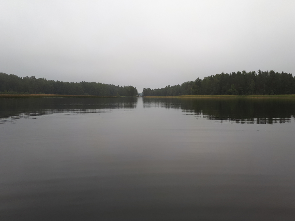 Скоро осень и хандра. фото автора