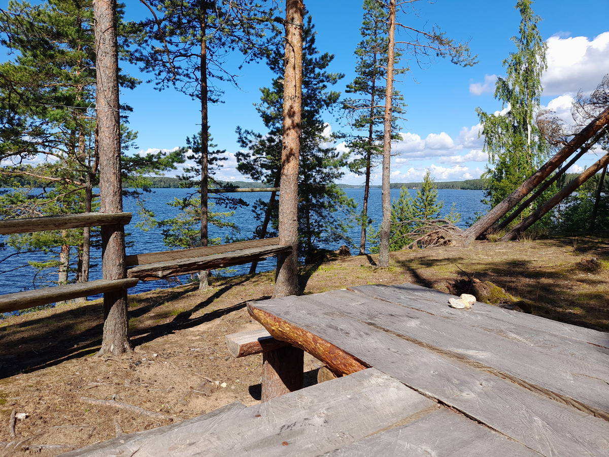 В ласах Ленобласти полно столов для веселых или грустных застолий. фото автора