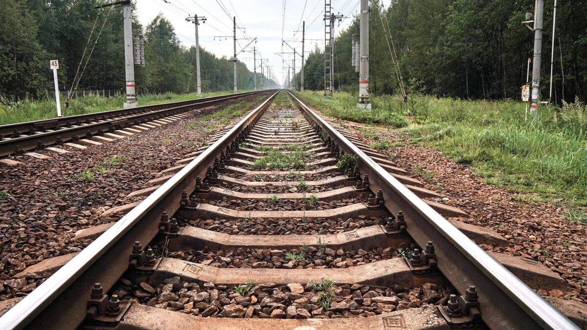    Фото: ИЗВЕСТИЯ/Анна Селина