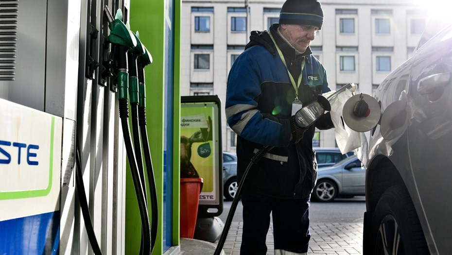 Бенизн в России: акутальная обстановка и прогноз цен на конец 2025
