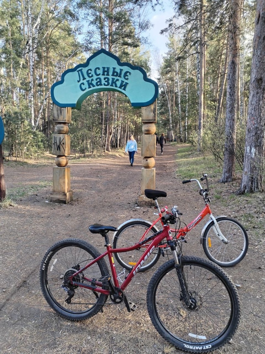 Тропа "Лесные сказки". Источник: фото автора