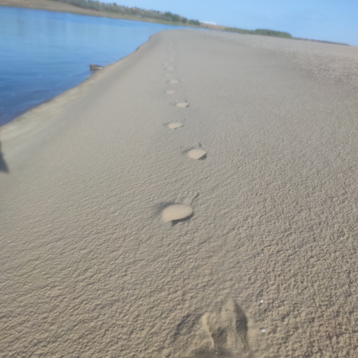 Одинокие следы