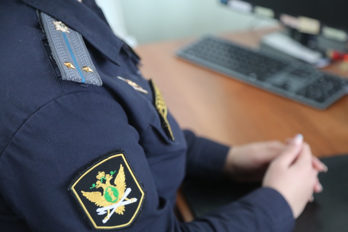 Иллюстрация изображения органов ФССП.