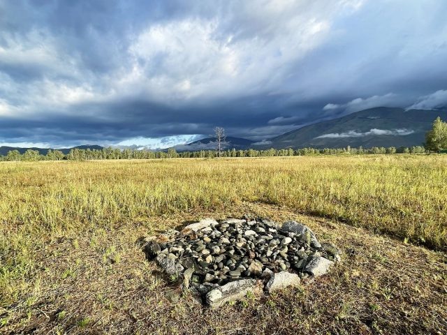    Раскопки. Фото: Алтайский государственный университет