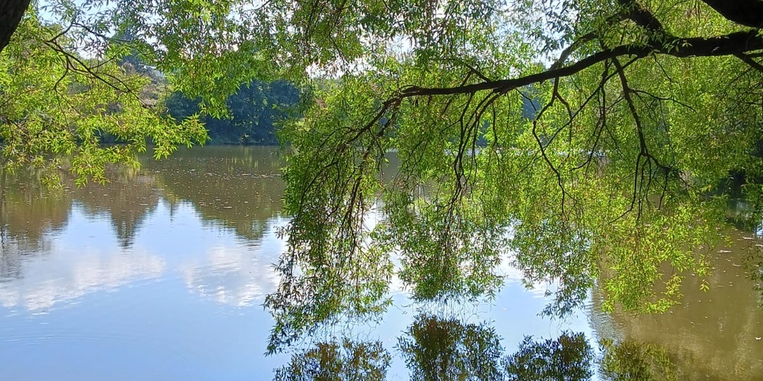 Забыта, но не побеждена