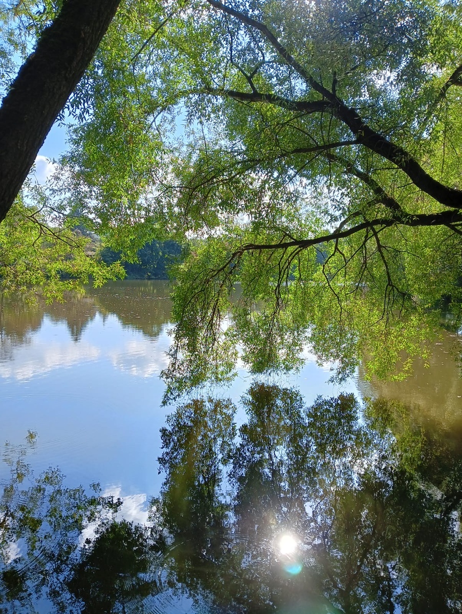 Фото: Александр Панов.