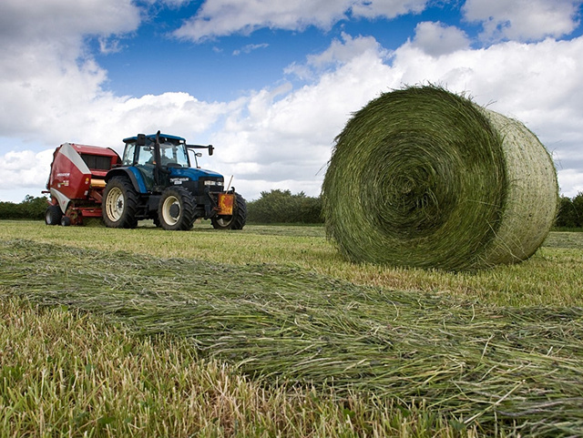 У начинающих тверских фермеров есть шанс получить грант в 7 млн