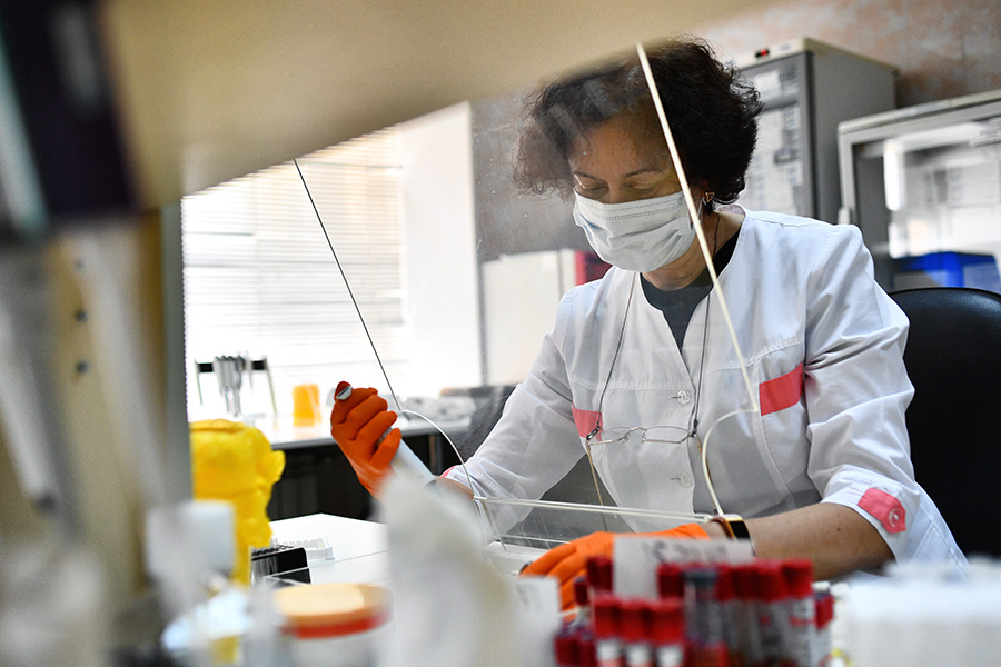    © Павел Лисицын/РИА Новости