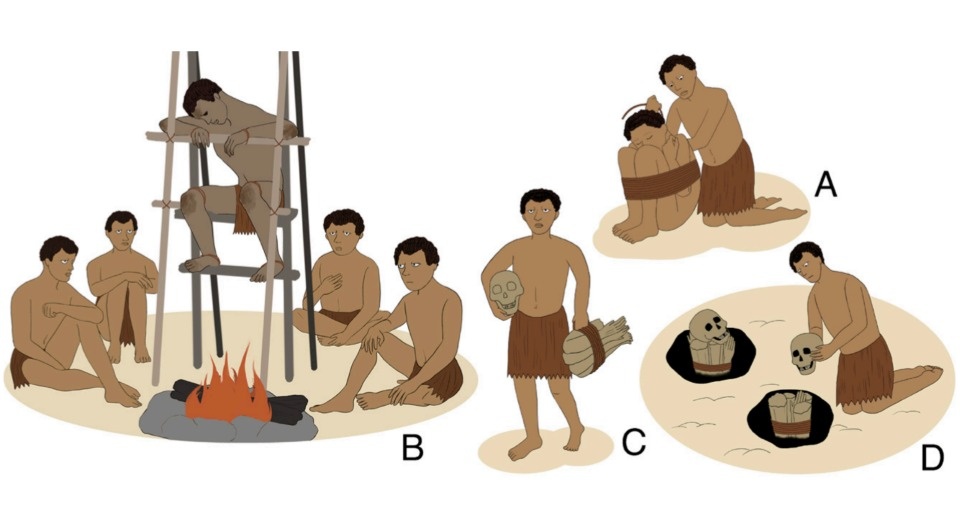   Hsiao-chun Hung et al. / Proceedings of the National Academy of Sciences, 2025