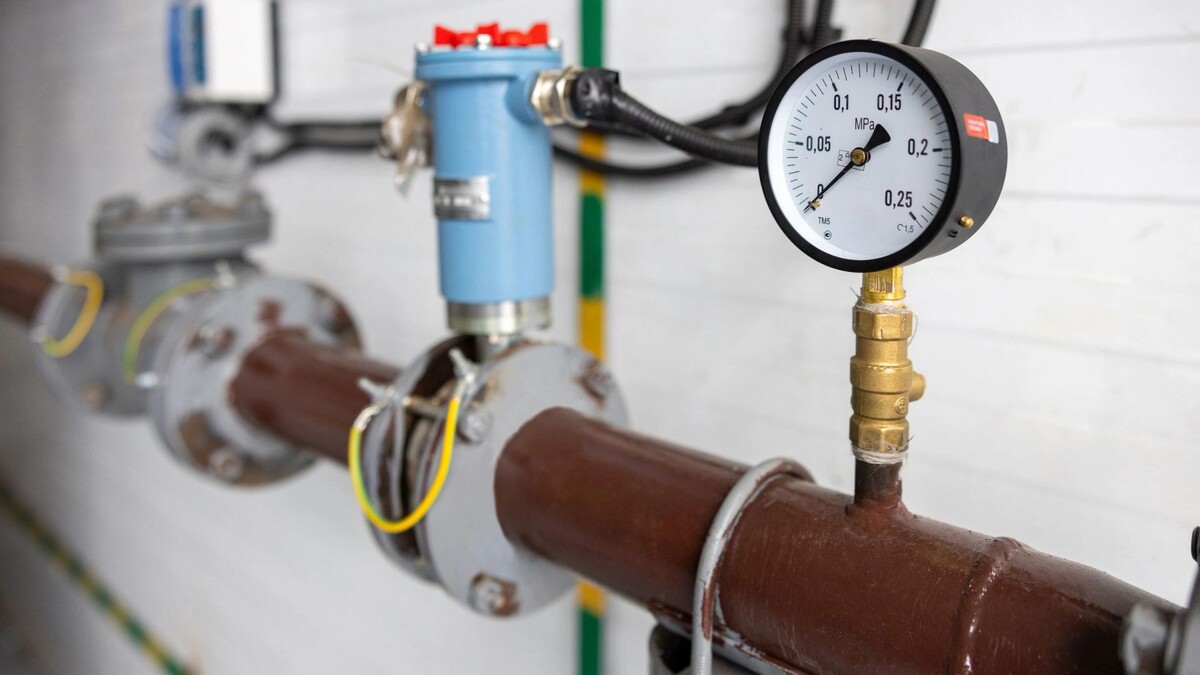    Фото: Федор Воронов/«Ямал-Медиа»