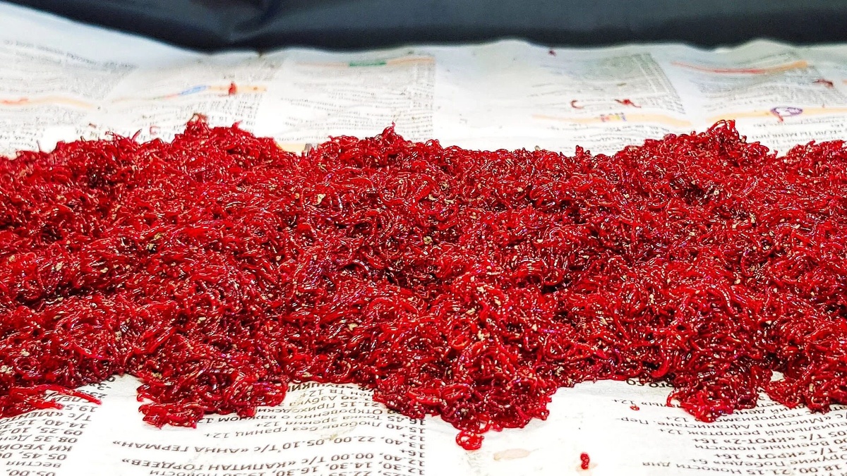 Фото с сайта: https://rutube.ru/video/d3c3ec8042969a62d859e501474c961a/