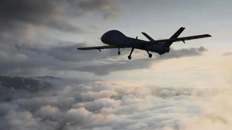    Фото: marina.rodrigues/Shutterstock/Fotodom