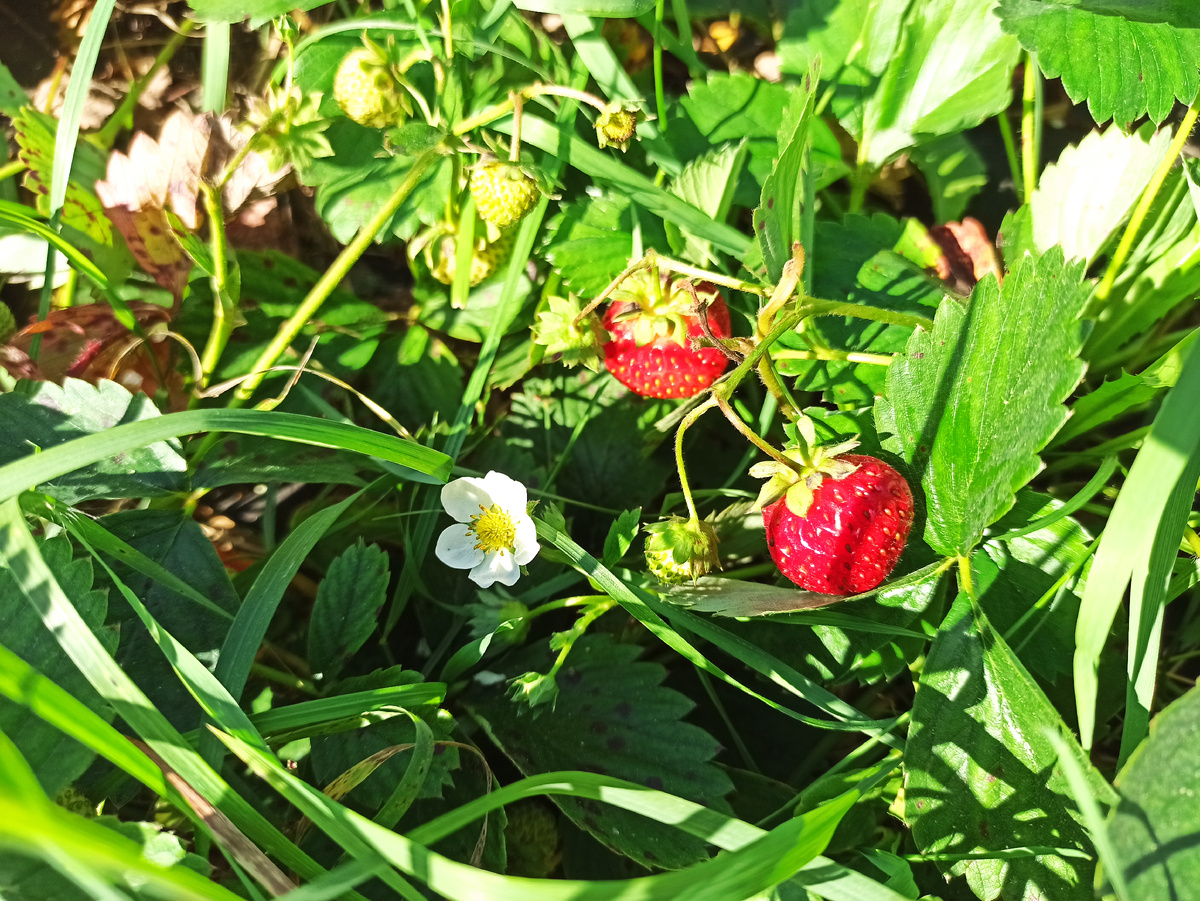 Фото автора. 