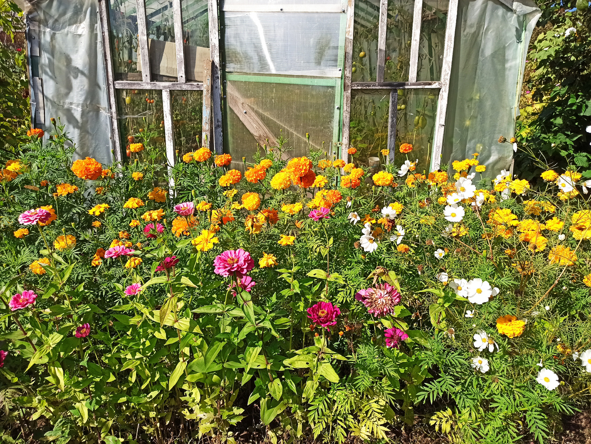 Фото автора. 