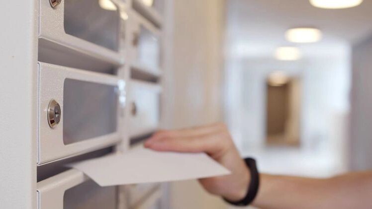    Фото: nimito / Shutterstock / Fotodom