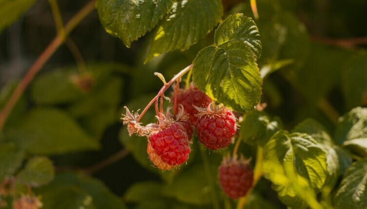     Фото: Dámaris Azócar on Unsplash