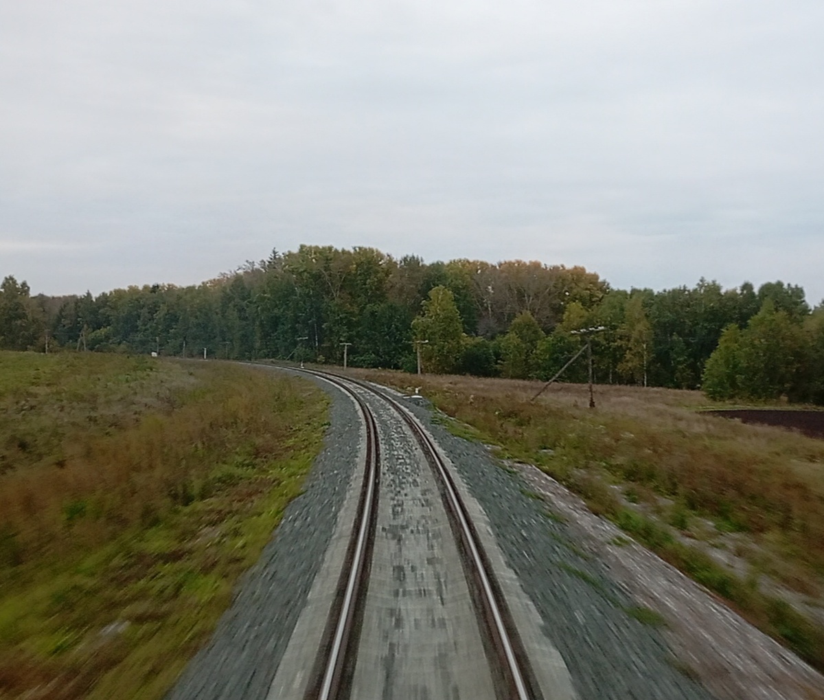 Не копировать. Личное фото автора.