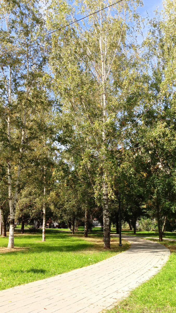 Фото автора.