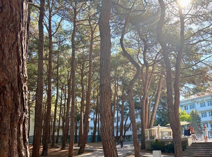 Народные приметы на 16 сентября: что нельзя делать, иначе жди 40 бед