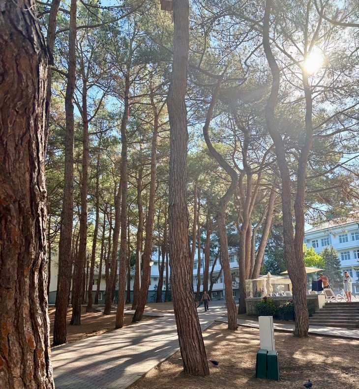    парк Редакция Газеты