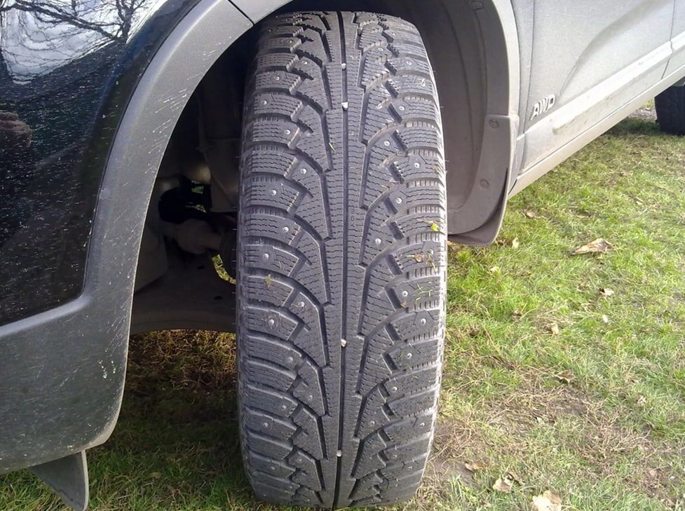 Летом на "Зимке"