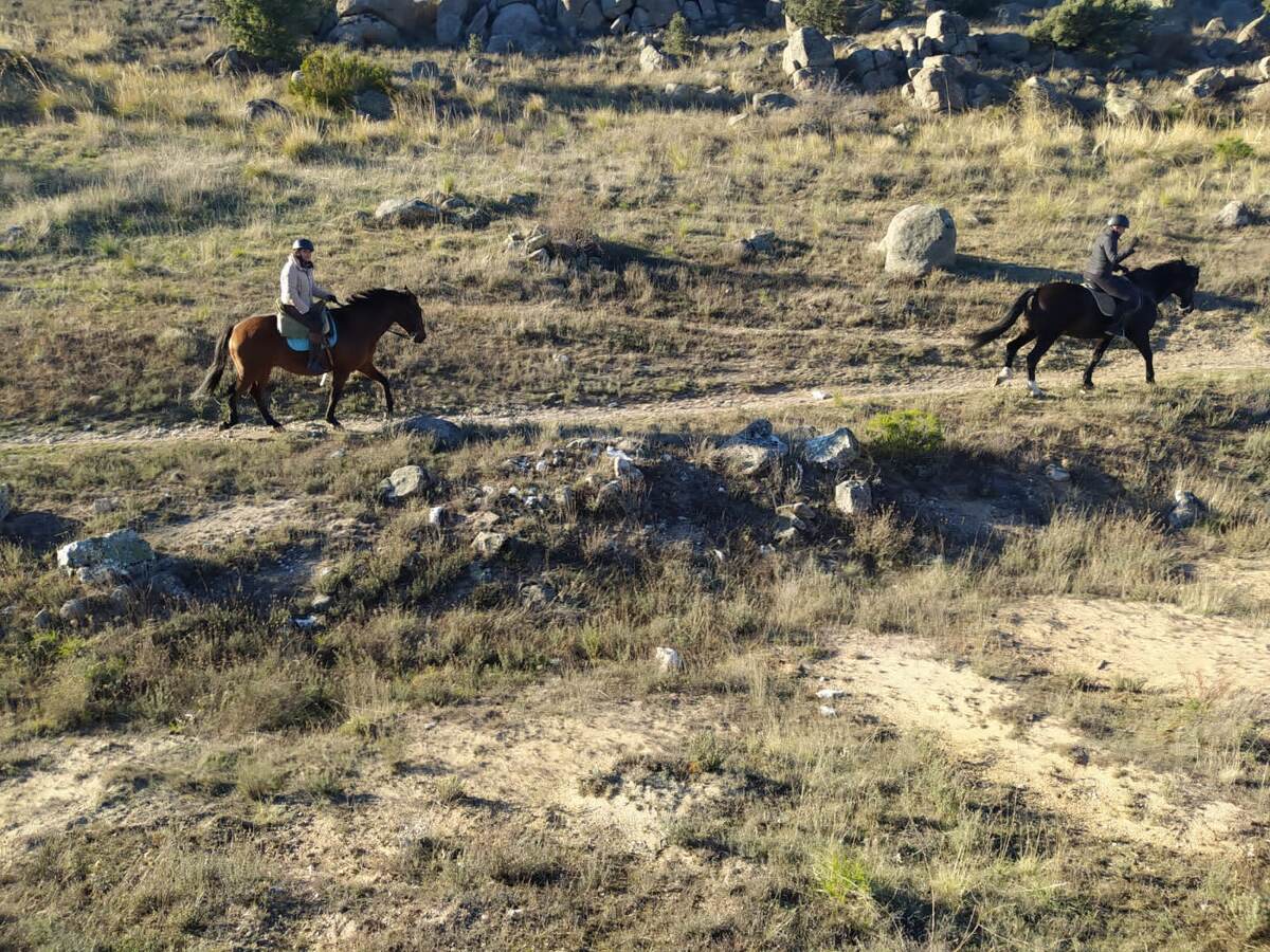 Зимой мы тоже часто выезжаем на природу
