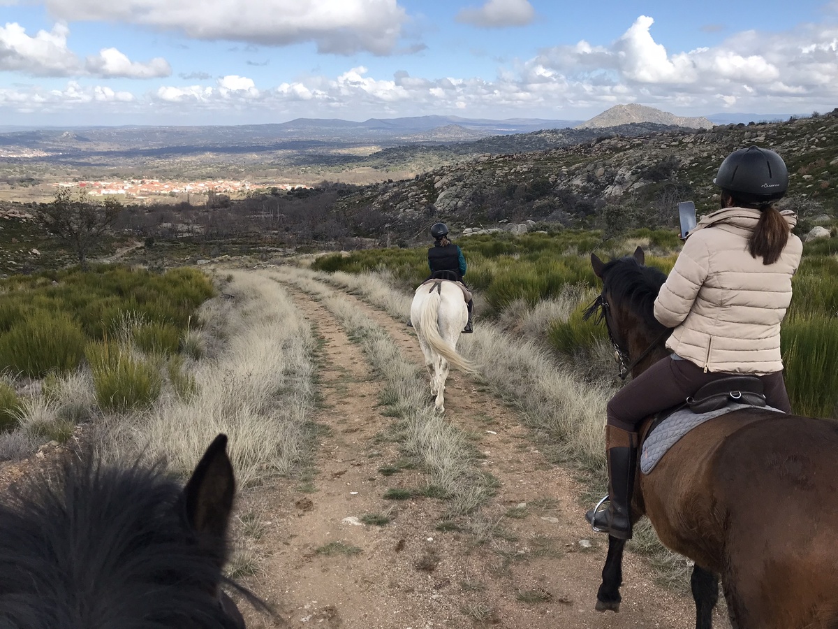Наши прогулки